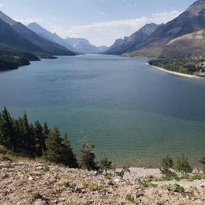 Meet your Posher, Bobbie